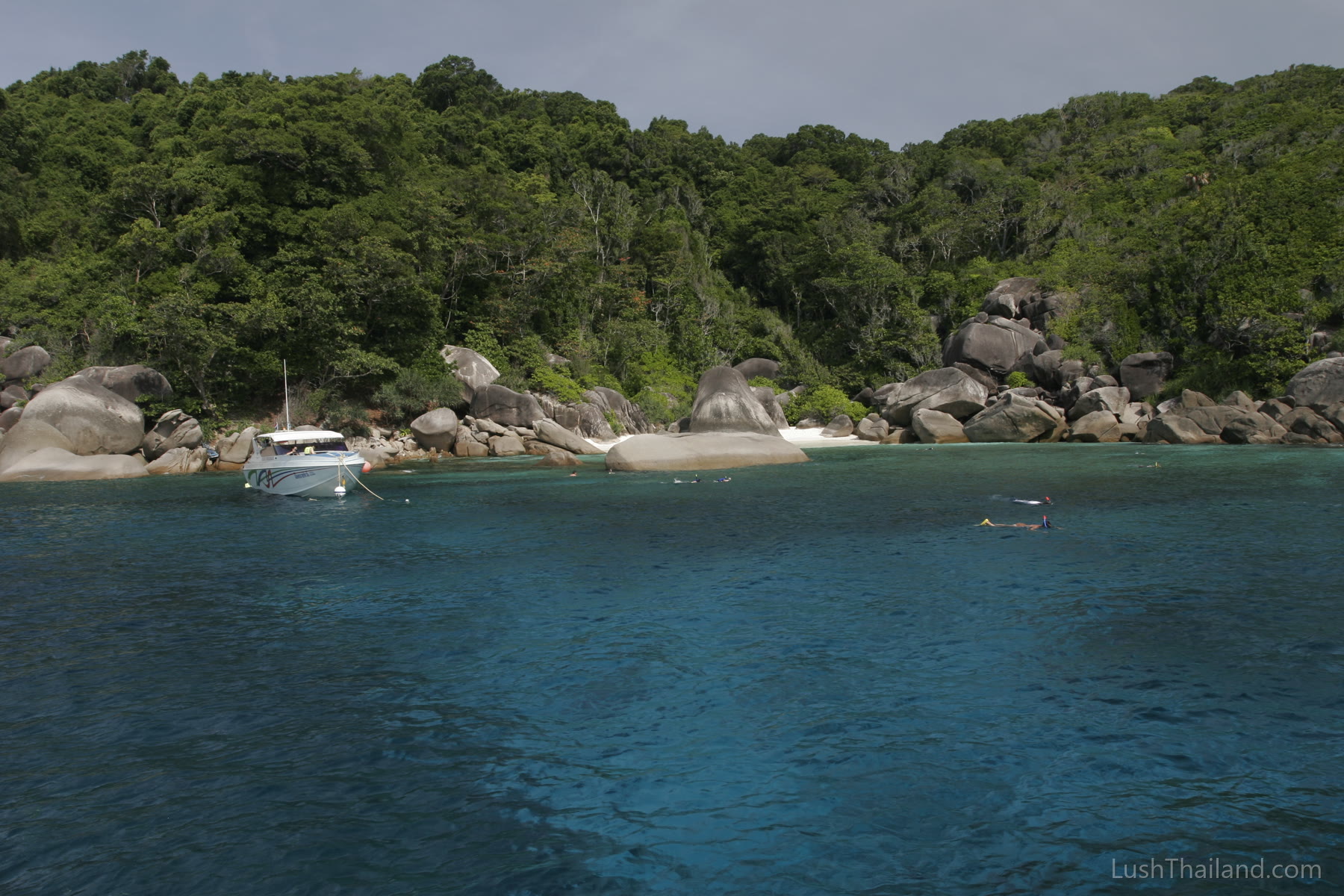 Granite shoreline, forest, and clear water in the Similan Islands, Thailand